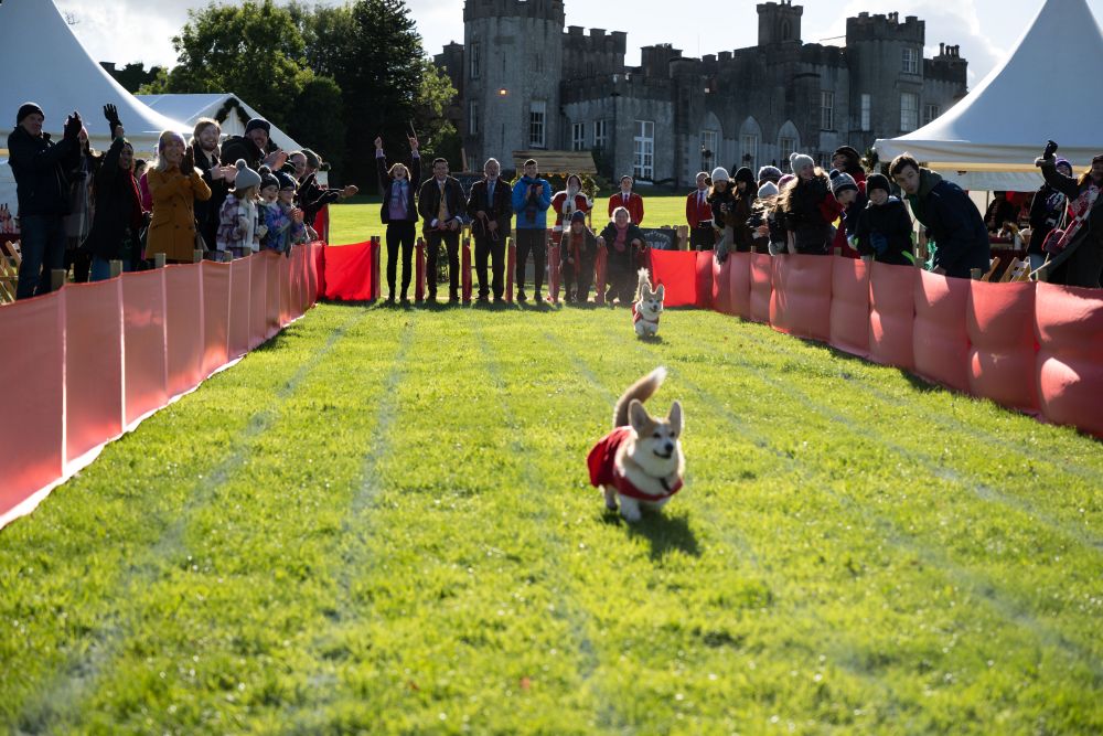 Reckless-Pictures-movie-A-Royal-Corgi-Christmas
