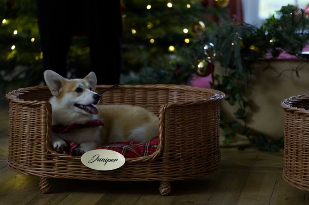 Reckless-Pictures-movie-A-Royal-Corgi-Christmas